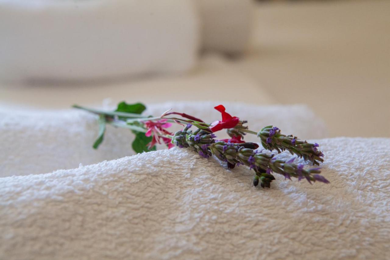 קמנה וורלה Hotel Loula Rooms And Apartments מראה חיצוני תמונה